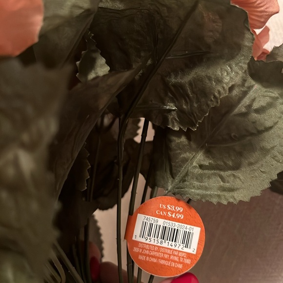 Ashland Bush Gerbe Brown Hydrangea Bush - Bundle of 6 - Picture 6 of 8